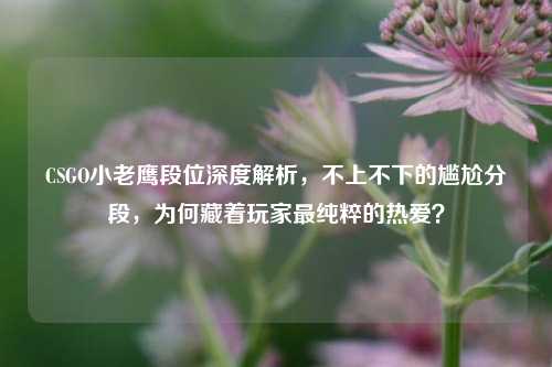 CSGO小老鹰段位深度解析,不上不下的尴尬分段,为何藏着玩家最纯粹的热爱?