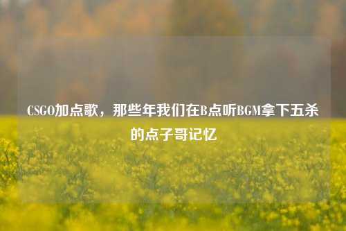 CSGO加点歌,那些年我们在B点听BGM拿下五杀的点子哥记忆