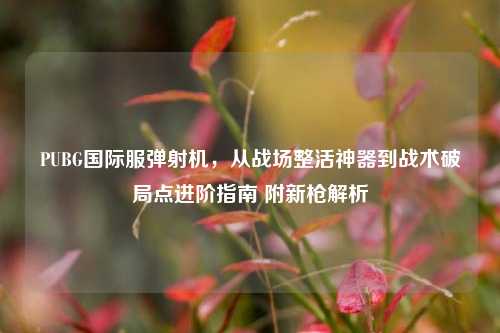 PUBG国际服弹射机,从战场整活神器到战术破局点进阶指南 附新枪解析
