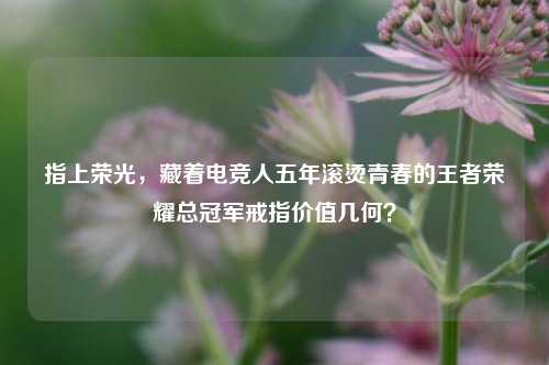 指上荣光，藏着电竞人五年滚烫青春的王者荣耀总冠军戒指价值几何？