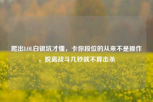 爬出LOL白银坑才懂,卡你段位的从来不是操作,脱离战斗几秒就不算击杀
