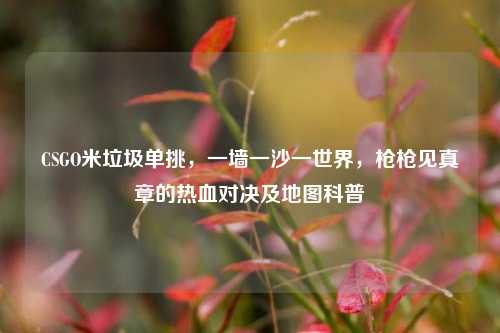 CSGO米垃圾单挑,一墙一沙一世界,枪枪见真章的热血对决及地图科普