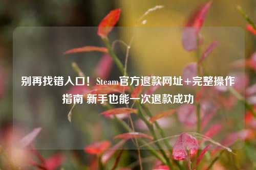 别再找错入口!Steam官方退款网址+完整操作指南 新手也能一次退款成功