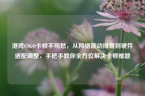 港湾CSGO卡顿不用愁,从网络波动排查到硬件适配调整,手把手教你全方位解决卡顿难题