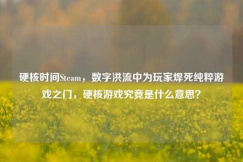 硬核时间Steam，数字洪流中为玩家焊死纯粹游戏之门，硬核游戏究竟是什么意思？