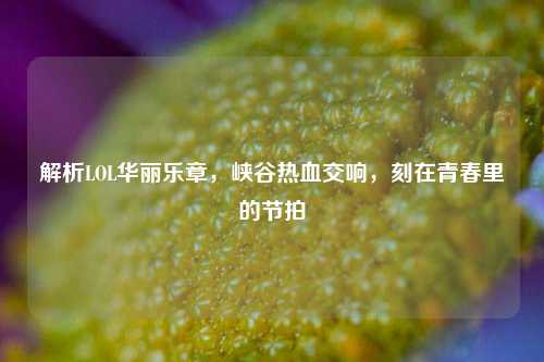 解析LOL华丽乐章，峡谷热血交响，刻在青春里的节拍