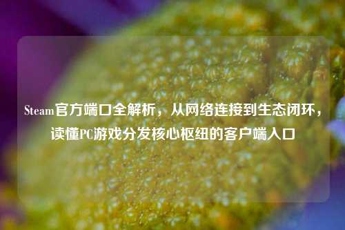 Steam官方端口全解析,从网络连接到生态闭环,读懂PC游戏分发核心枢纽的客户端入口