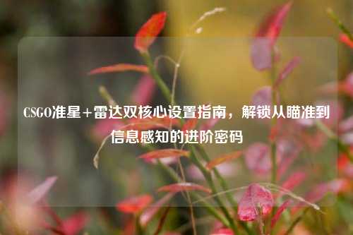 CSGO准星+雷达双核心设置指南,解锁从瞄准到信息感知的进阶密码