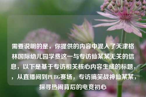 需要说明的是,你提供的内容中混入了天津格林国际幼儿园学费这一与专访仙某某无关的信息,以下是基于专访相关核心内容生成的标题,,从直播间到PUBG赛场,专访搞笑战神仙某某,探寻热闹背后的电竞初心