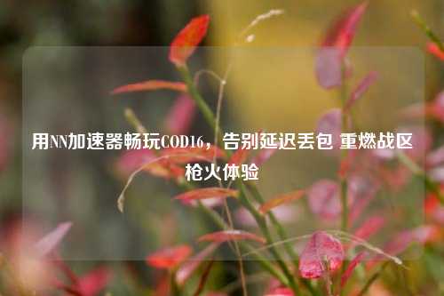 用NN加速器畅玩COD16，告别延迟丢包 重燃战区枪火体验