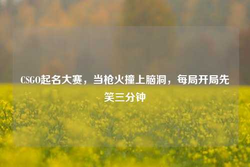 CSGO起名大赛，当枪火撞上脑洞，每局开局先笑三分钟