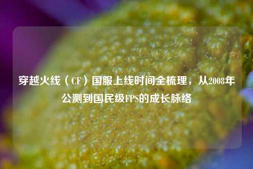 穿越火线(CF)国服上线时间全梳理,从2008年公测到国民级FPS的成长脉络