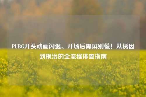 PUBG开头动画闪退、开场后黑屏别慌!从诱因到根治的全流程排查指南