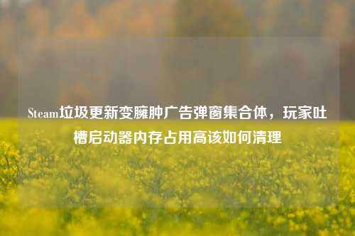 Steam垃圾更新变臃肿广告弹窗集合体,玩家吐槽启动器内存占用高该如何清理