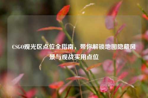CSGO观光区点位全指南,带你解锁地图隐藏风景与观战实用点位