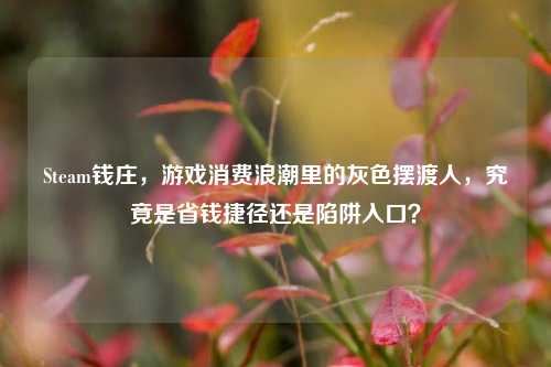 Steam钱庄,游戏消费浪潮里的灰色摆渡人,究竟是省钱捷径还是陷阱入口?