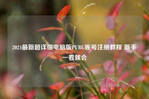 2024最新超详细电脑版PUBG账号注册教程 新手一看就会