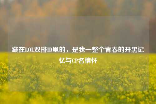 藏在LOL双排ID里的,是我一整个青春的开黑记忆与CP名情怀