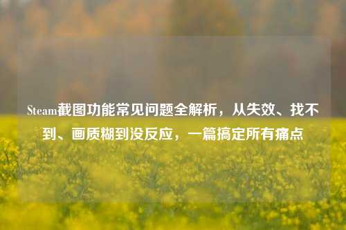 Steam截图功能常见问题全解析,从失效、找不到、画质糊到没反应,一篇搞定所有痛点