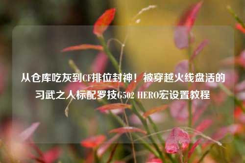 从仓库吃灰到CF排位封神!被穿越火线盘活的习武之人标配罗技G502 HERO宏设置教程