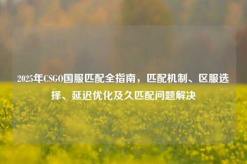 2025年CSGO国服匹配全指南,匹配机制、区服选择、延迟优化及久匹配问题解决