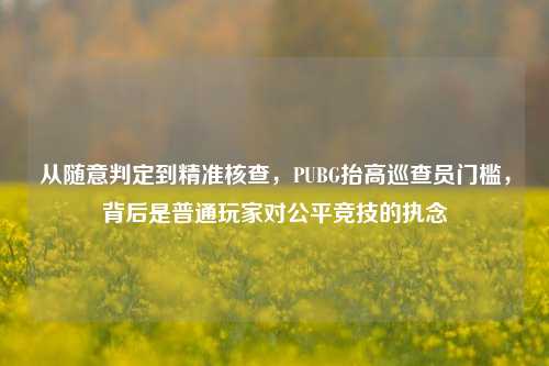 从随意判定到精准核查，PUBG抬高巡查员门槛，背后是普通玩家对公平竞技的执念