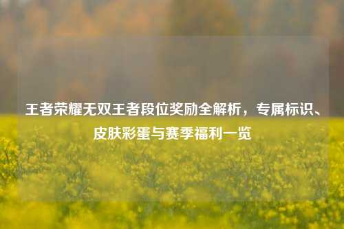 王者荣耀无双王者段位奖励全解析,专属标识、皮肤彩蛋与赛季福利一览