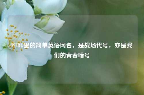 PUBG里的简单英语网名,是战场代号,亦是我们的青春暗号