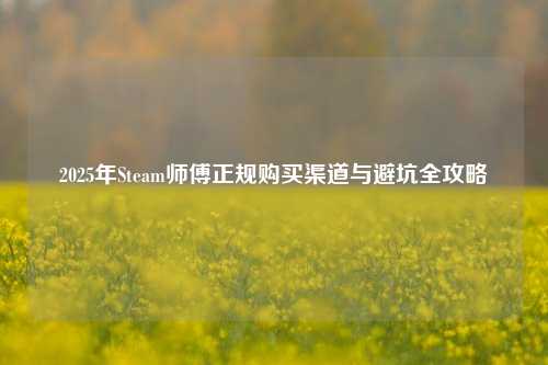 2025年Steam师傅正规购买渠道与避坑全攻略