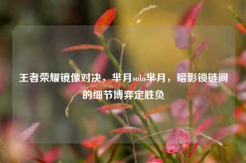 王者荣耀镜像对决,芈月solo芈月,暗影锁链间的细节博弈定胜负
