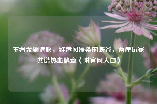 王者荣耀港服,维港风浸染的峡谷,两岸玩家共谱热血篇章(附官网入口)