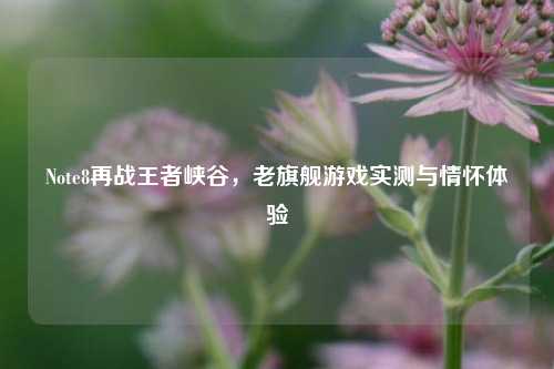 Note8再战王者峡谷，老旗舰游戏实测与情怀体验