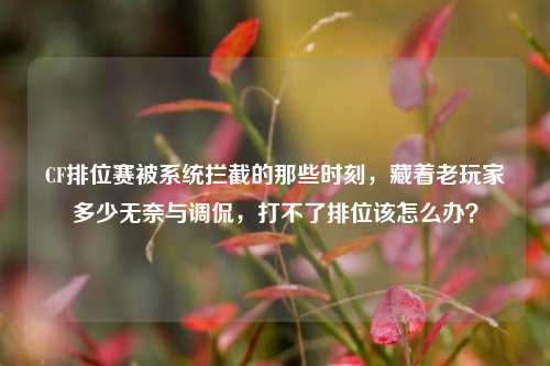 CF排位赛被系统拦截的那些时刻,藏着老玩家多少无奈与调侃,打不了排位该怎么办?