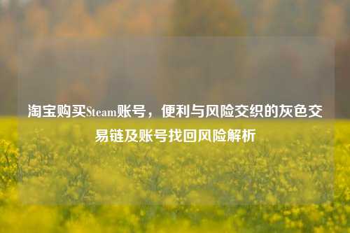 淘宝购买Steam账号,便利与风险交织的灰色交易链及账号找回风险解析