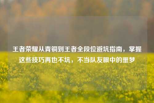 王者荣耀从青铜到王者全段位避坑指南,掌握这些技巧再也不坑,不当队友眼中的噩梦