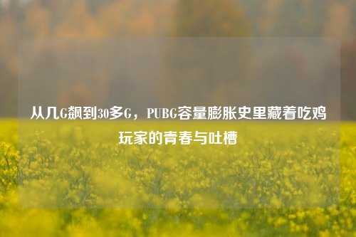 从几G飙到30多G，PUBG容量膨胀史里藏着吃鸡玩家的青春与吐槽