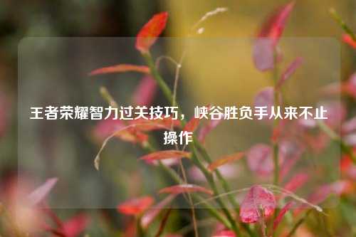 王者荣耀智力过关技巧，峡谷胜负手从来不止操作