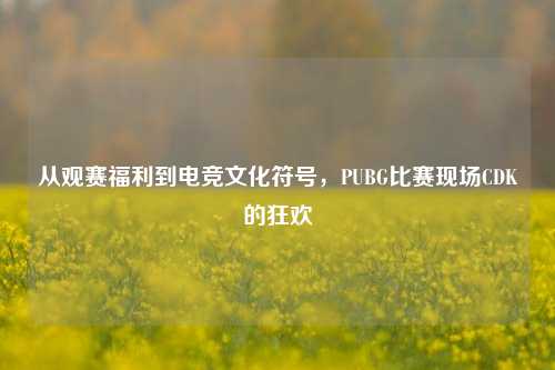 从观赛福利到电竞文化符号,PUBG比赛现场CDK的狂欢