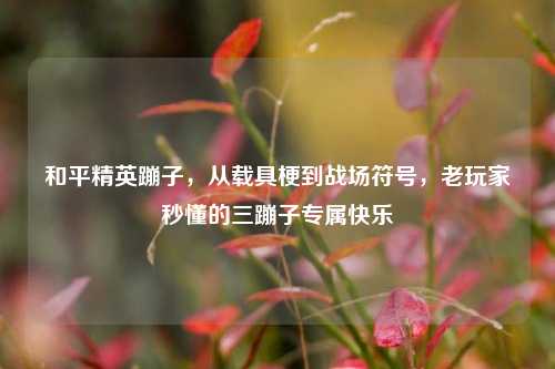 和平精英蹦子,从载具梗到战场符号,老玩家秒懂的三蹦子专属快乐