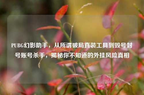 PUBG幻影助手,从所谓破局直装工具到毁号封号账号杀手,揭秘你不知道的外挂风险真相