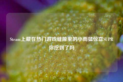 Steam上藏在热门游戏缝隙里的小而猛惊喜SUPR你挖到了吗