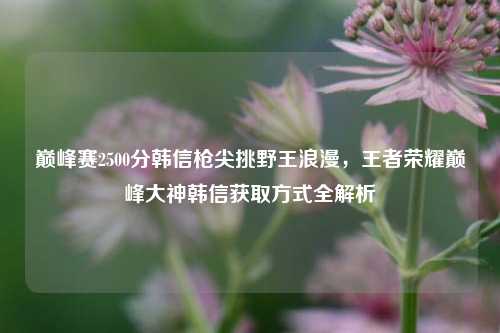 巅峰赛2500分韩信枪尖挑野王浪漫，王者荣耀巅峰大神韩信获取方式全解析