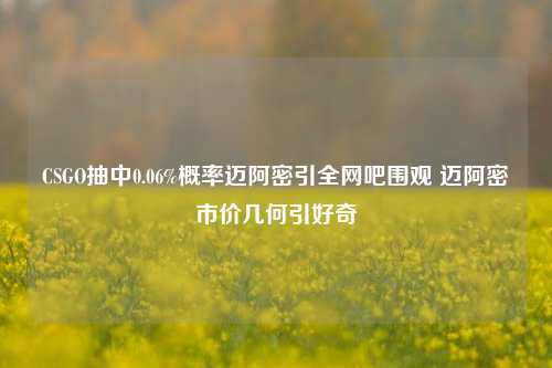 CSGO抽中0.06%概率迈阿密引全网吧围观 迈阿密市价几何引好奇