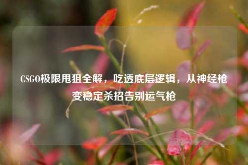 CSGO极限甩狙全解,吃透底层逻辑,从神经枪变稳定杀招告别运气枪