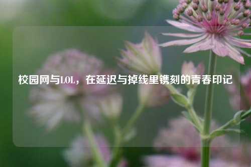 校园网与LOL，在延迟与掉线里镌刻的青春印记