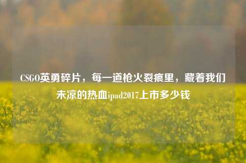 CSGO英勇碎片,每一道枪火裂痕里,藏着我们未凉的热血ipad2017上市多少钱