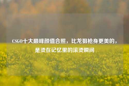 CSGO十大巅峰颜值合照,比龙狙枪身更美的,是烫在记忆里的滚烫瞬间