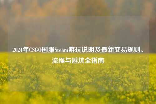 2024年CSGO国服Steam游玩说明及最新交易规则、流程与避坑全指南