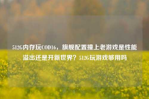 512G内存玩COD16，旗舰配置撞上老游戏是性能溢出还是开新世界？512G玩游戏够用吗