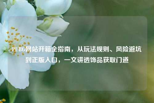PUBG网站开箱全指南,从玩法规则、风险避坑到正版入口,一文讲透饰品获取门道